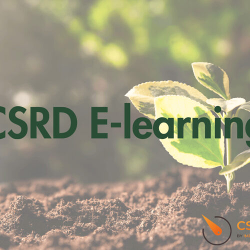 CSRD E-learning