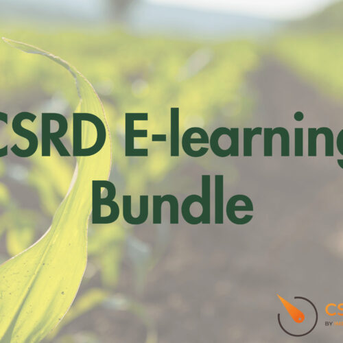 CSRD E-learning Bundle