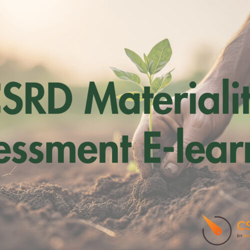 CSRD Materiality Assessment E-learning