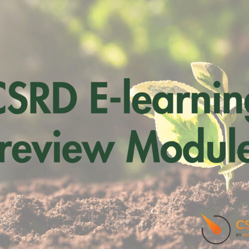 CSRD E-learning Preview Modules